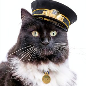 Penguin Felix Travel with Pets Kindle eBook – Rail Adventure-0